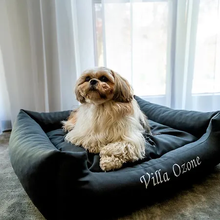 Lägenhetshotell Ozone