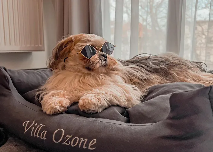 Lägenhetshotell Ozone