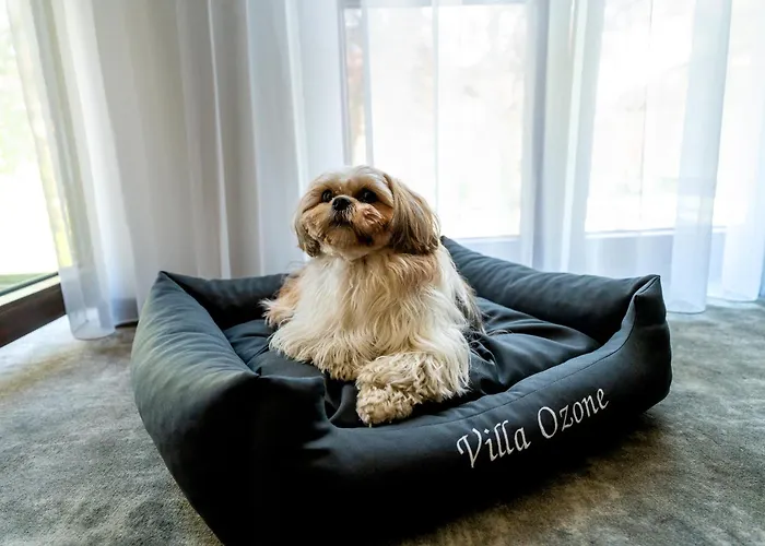 Lägenhetshotell Ozone